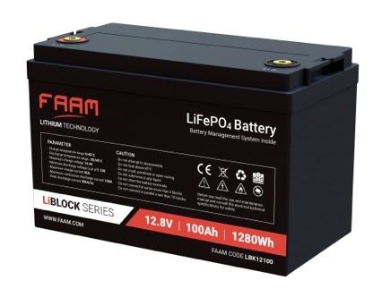 Lithium 12-100 FAAM Lithium LiFeP04 Dual purpose accu