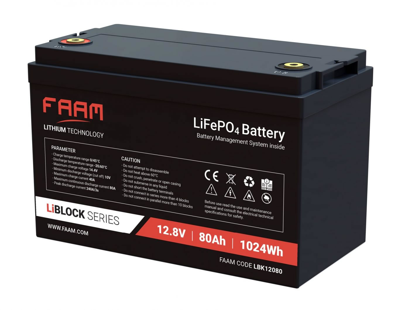 Lithium 12-80 FAAM Lithium LiFeP04 Dual purpose accu