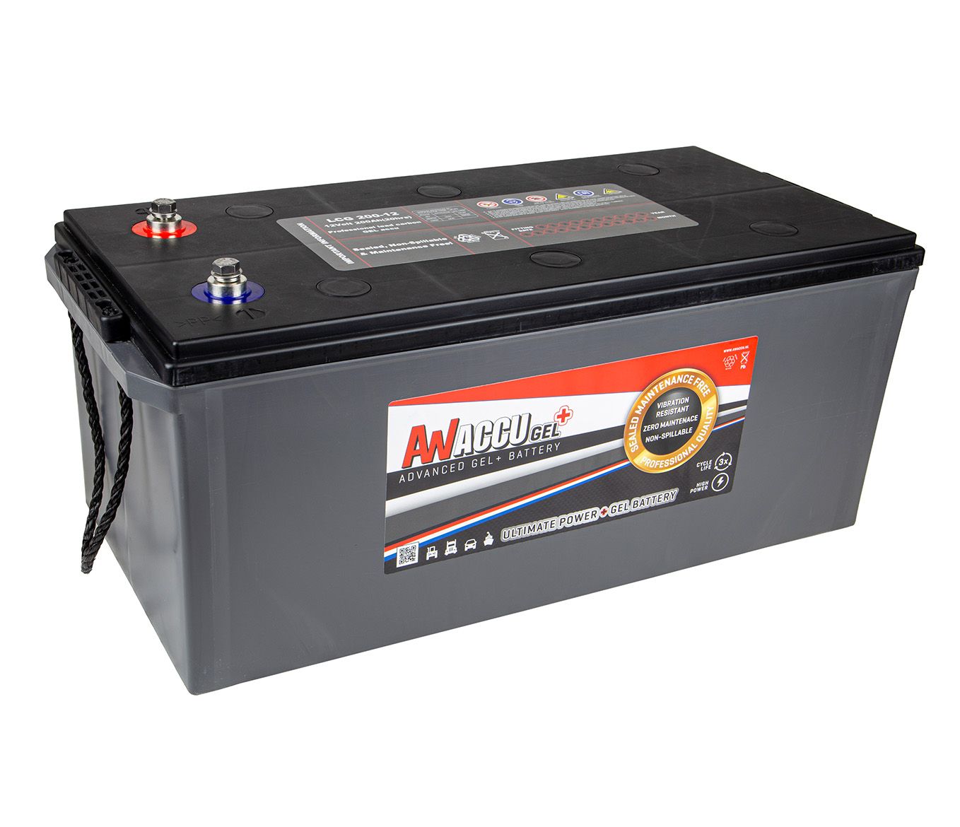 LCG 200-12 VRLA GEL lead carbon Dual purpose SLI accu